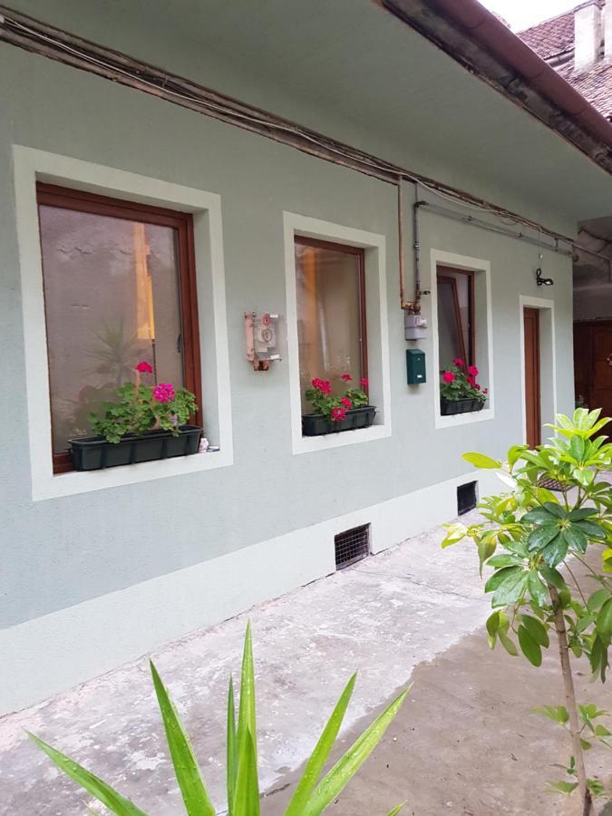 Weiss House Apartment Brasov Exterior photo